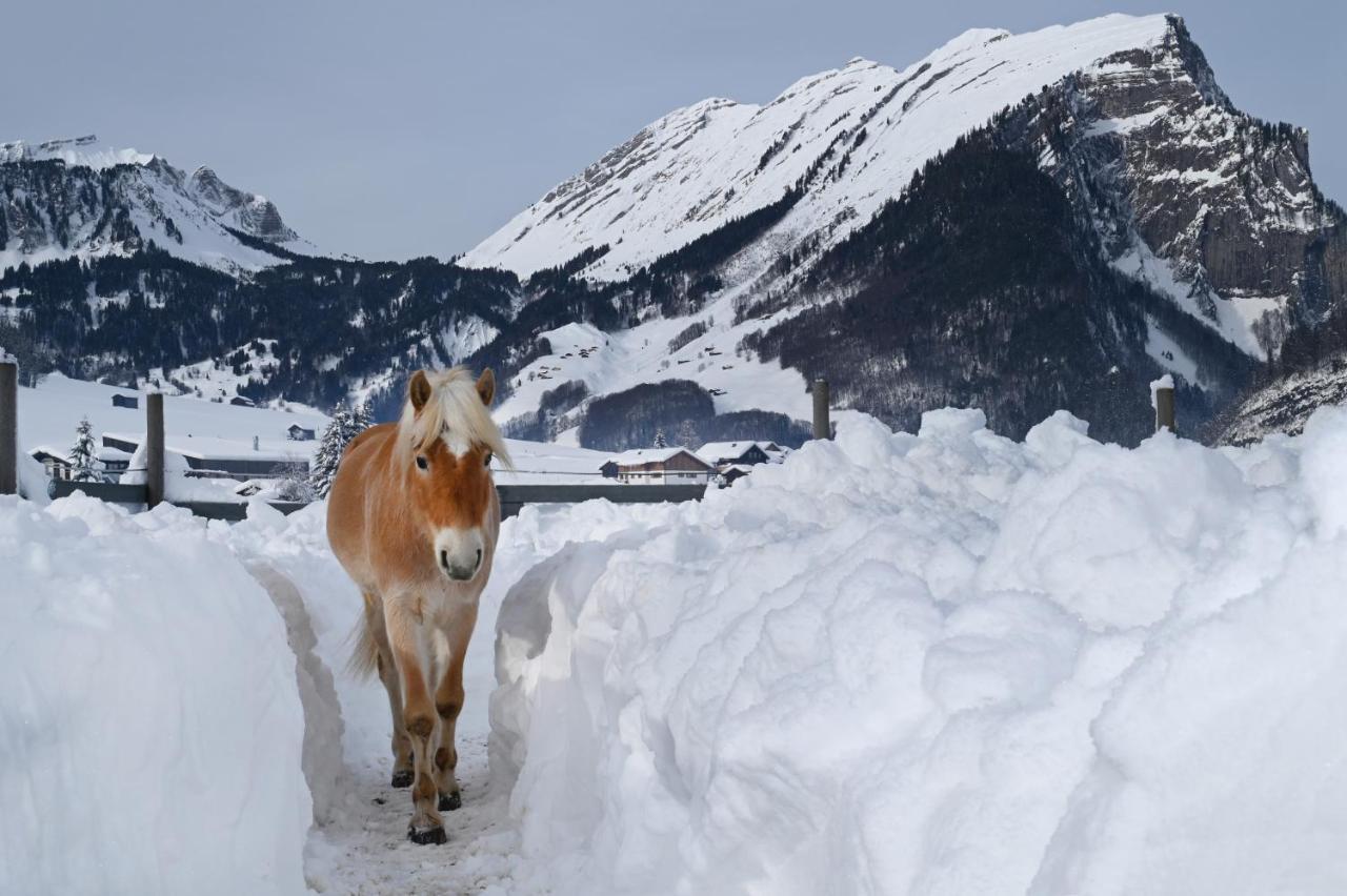 Haus Bergquell Διαμέρισμα Au (Vorarlberg) Εξωτερικό φωτογραφία